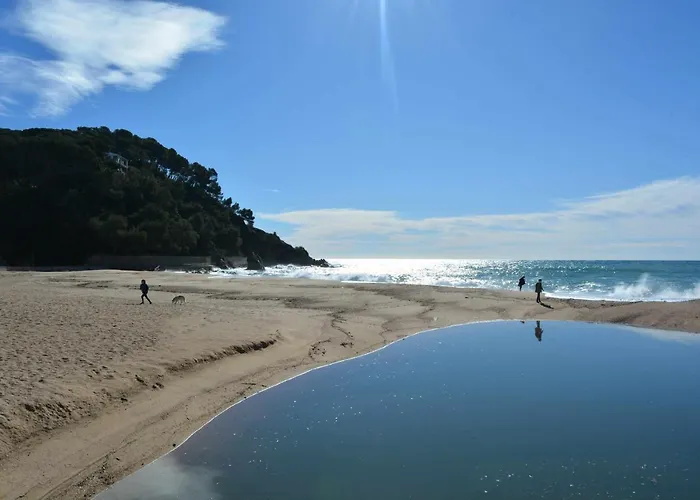 Antillas Piscina Y Terraza Playa Fenals 4pax Apartamento *