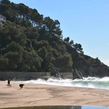 Antillas Piscina Y Terraza Playa Fenals 4pax 滨海略雷特