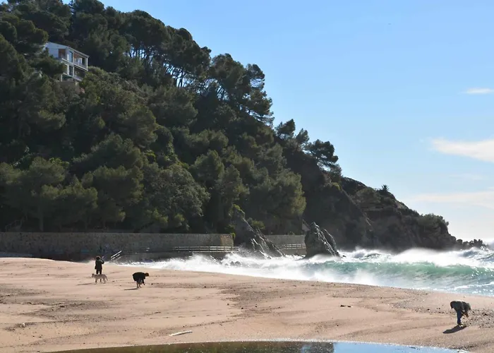 Antillas Piscina Y Terraza Playa Fenals 4pax 료렛 드 마르